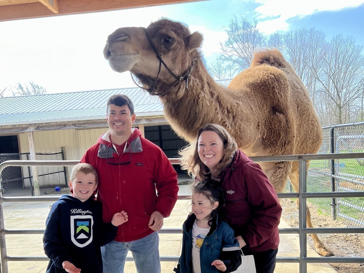 Camel at Majestic Meadows