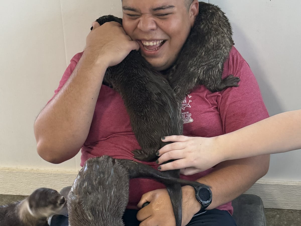 Otter at Majestic Meadows