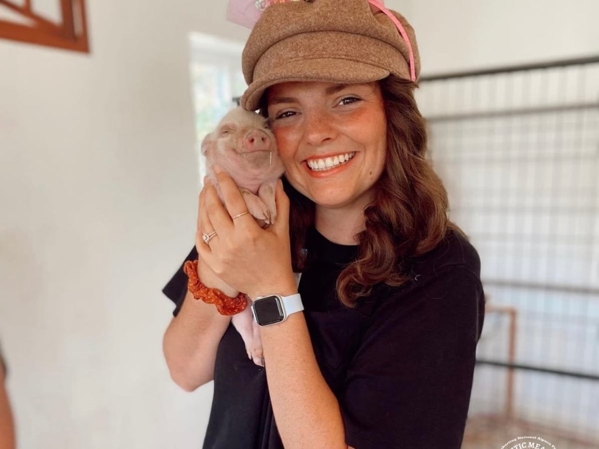 about.jpg Pig at Majestic Meadows