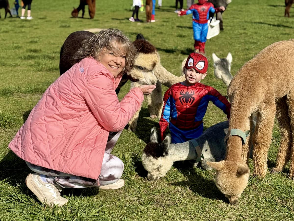 halloween-farm-tour-alpacas-majestic-meadows Children in costume meeting the alpacas during Halloween on the Farm