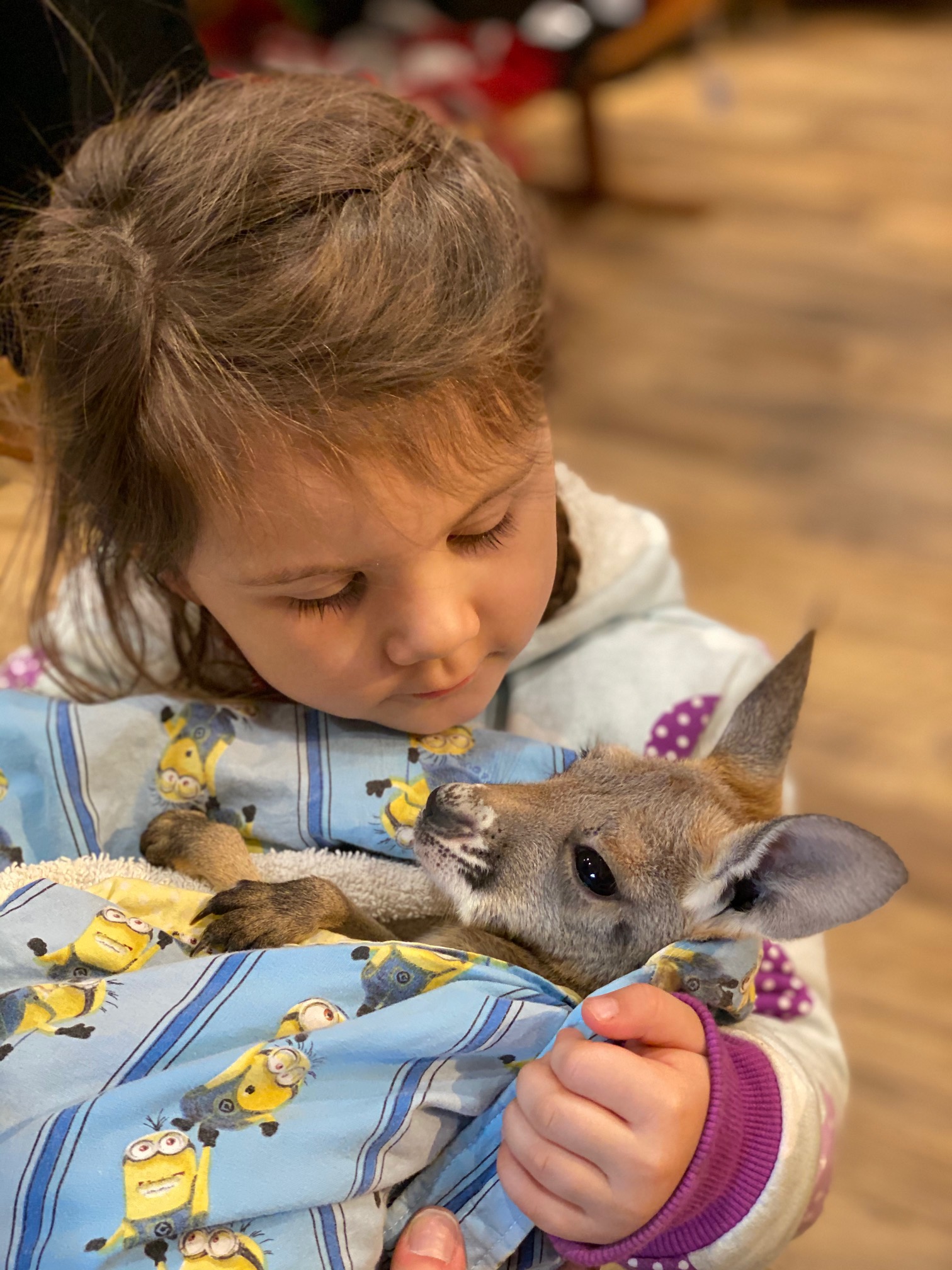 Petting zoo experience with children