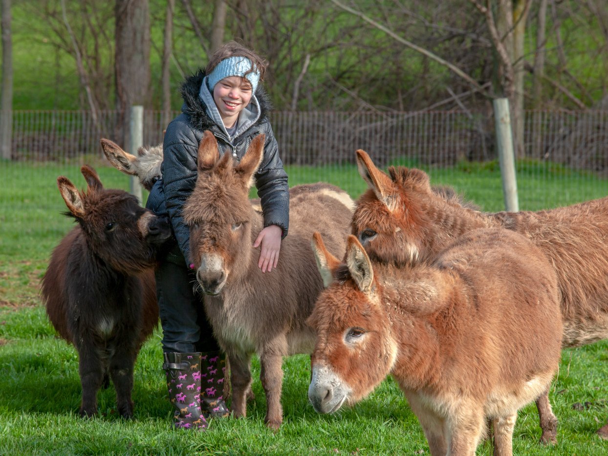 Kids learning farm chores at Majestic Meadows Alpacas Ohio